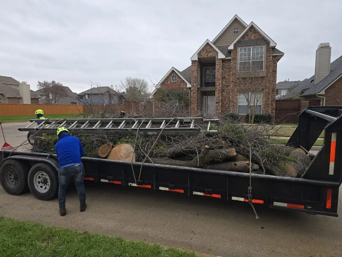 Expert Tree Pest Control with proper safety equipment in Hooper